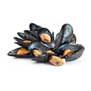 Mussels or other molluscs