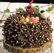 Birds nest cake